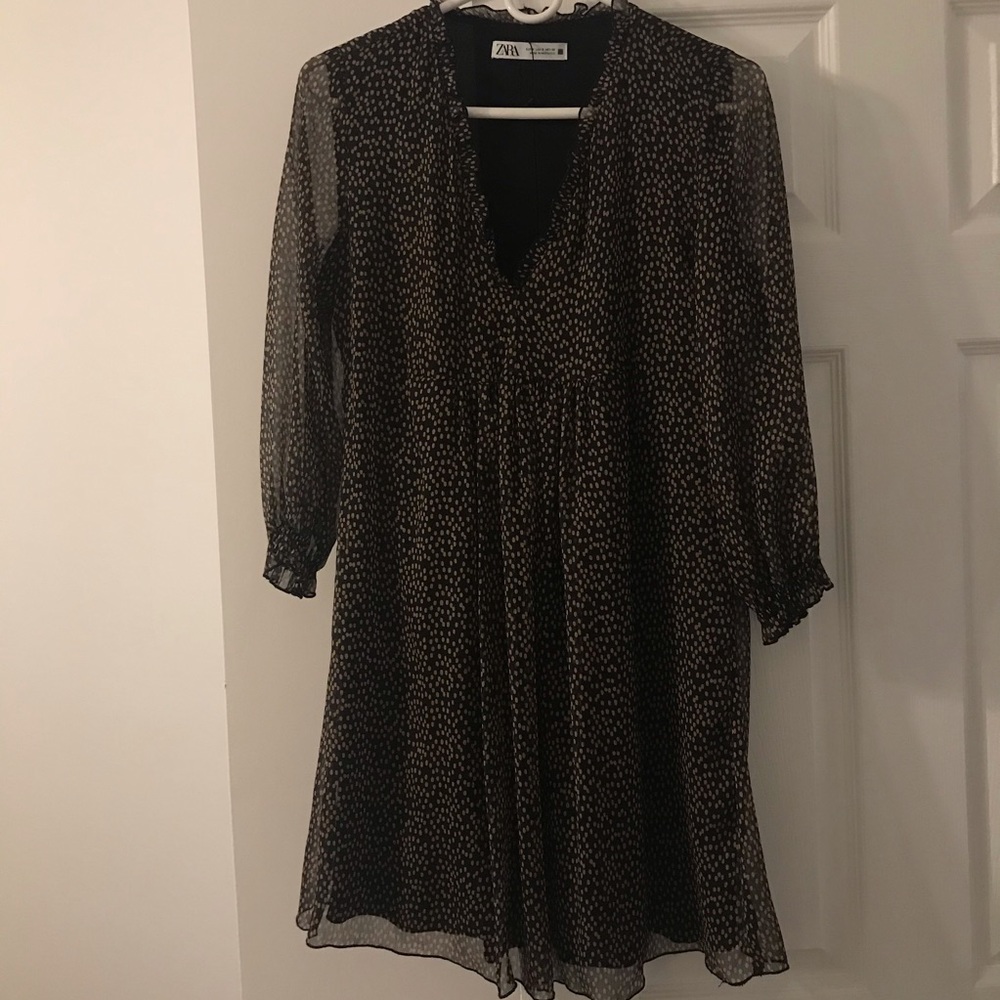 Zara Patterned Sheer Longsleeve Dress